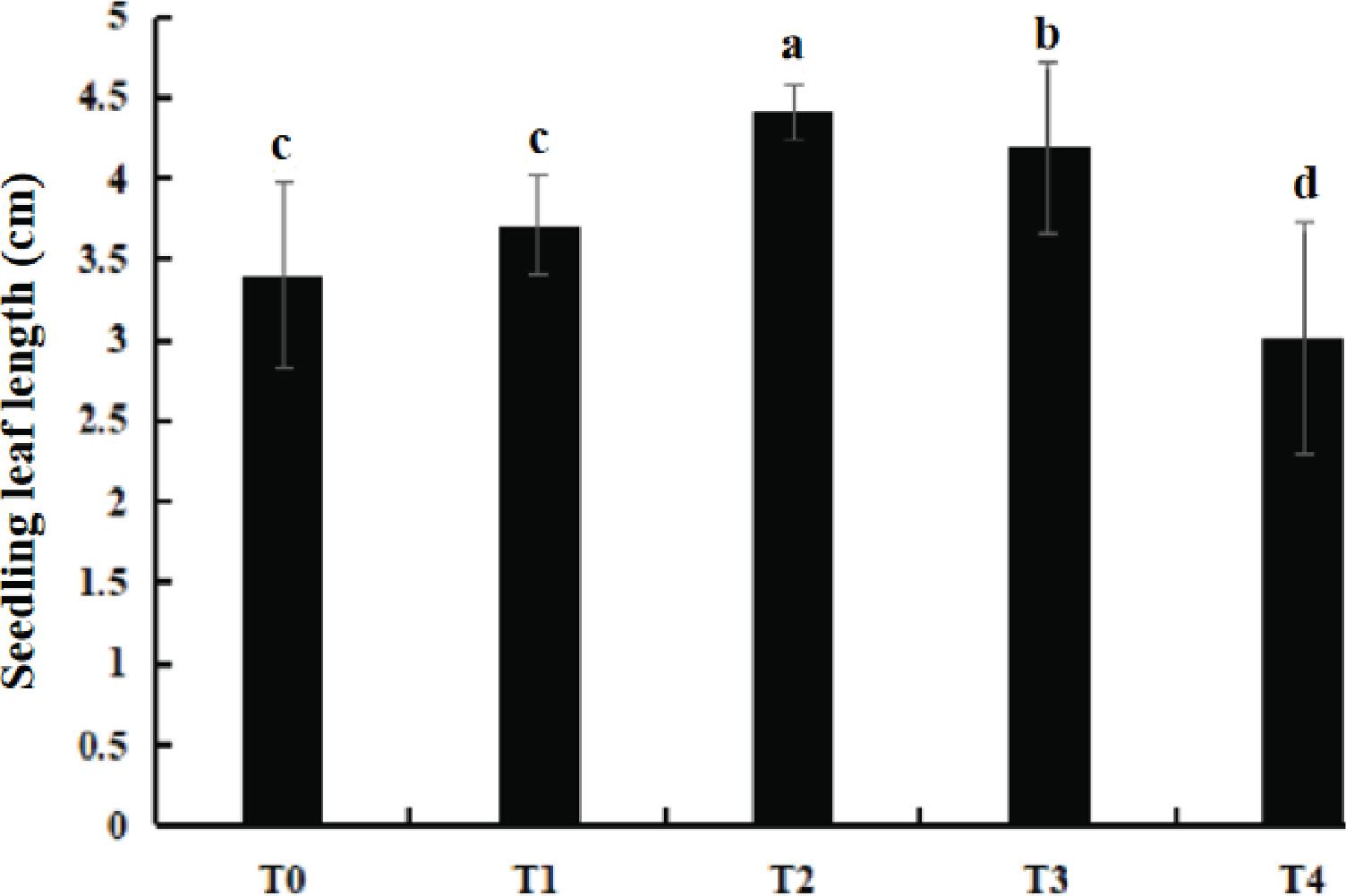 The effect of different treatment groups on the leaf length of sweet melon seedlings.