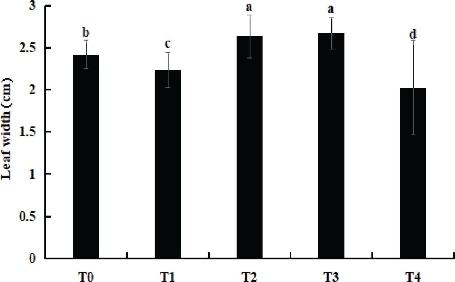 The effect of different treatment groups on the leaf width of sweet melon seedlings.