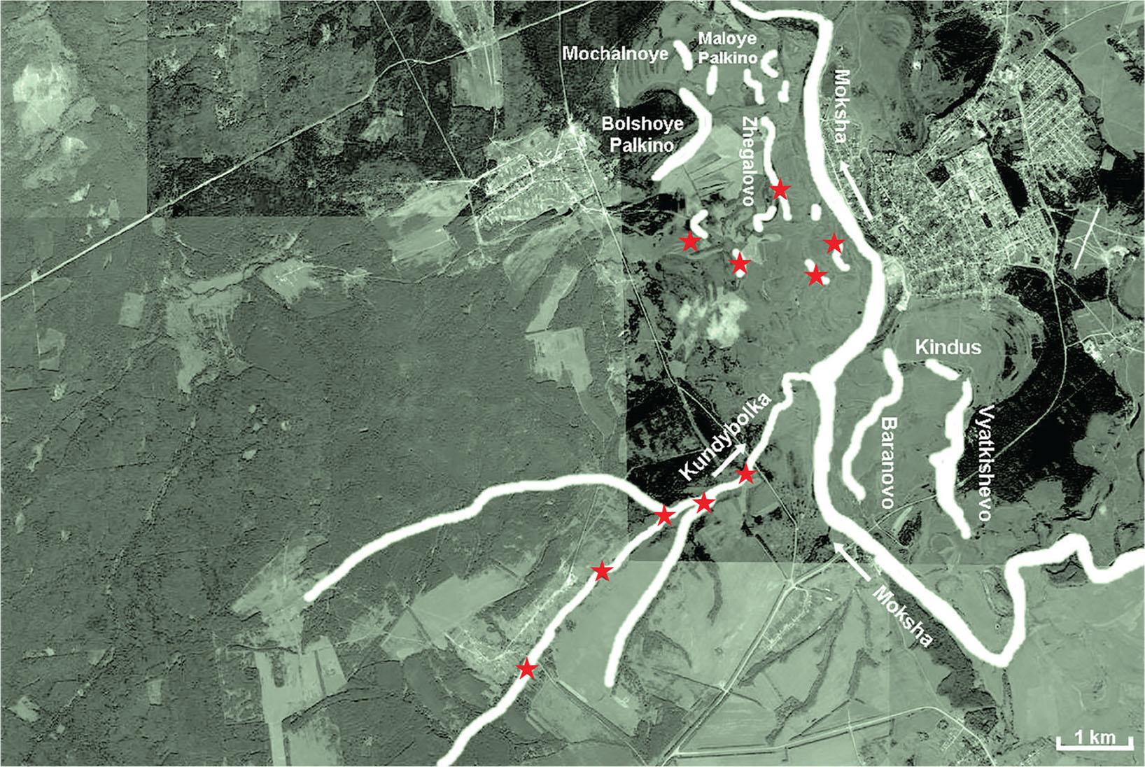 Records of the Russian desman in Temnikovsky District. The second station. Note: water bodies are shown in white, ★ – desman registration points.
