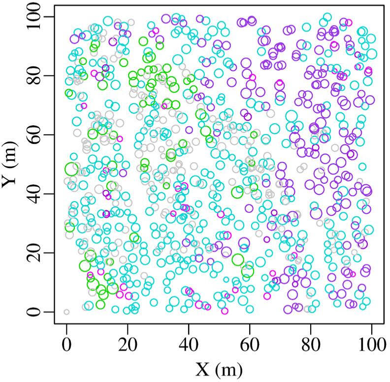 Map of live trees in RAMI birch stand in 2019. The symbols are scaled according to tree size. Cyan corresponds to birch, magenta to spruce, blue-violet to black alder, green to European aspen and grey to other species.
Joonis 1. RAMI kaasiku kasvavate puude kaart aastal 2019. Sümbolid on skaleeritud kujutamaks puude suurust, värvid vastavad metsakorralduse juhendile.