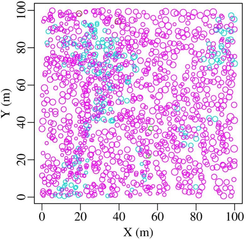 Map of alive trees in RAMI spruce stand in 2019. The symbols are scaled according to tree size. Magenta corresponds to spruce and cyan corresponds to birch.
Joonis 3. RAMI kuusiku kasvavate puude kaart aastal 2019. Sümbolid on skaleeritud kujutamaks puude suurust, värvid vastavad metsakorralduse juhendile.