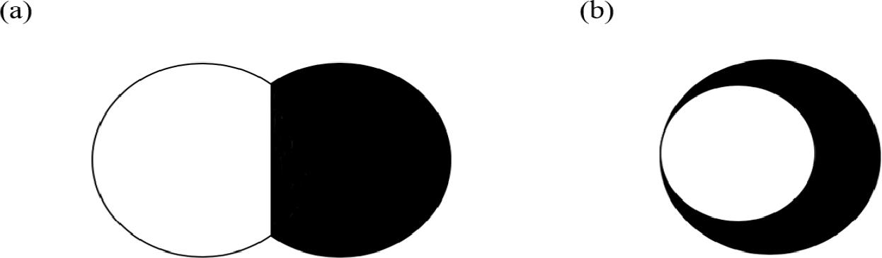 Cross-sections of self-crimp filaments: (a) side-by-side, (b) eccentric sheath-core