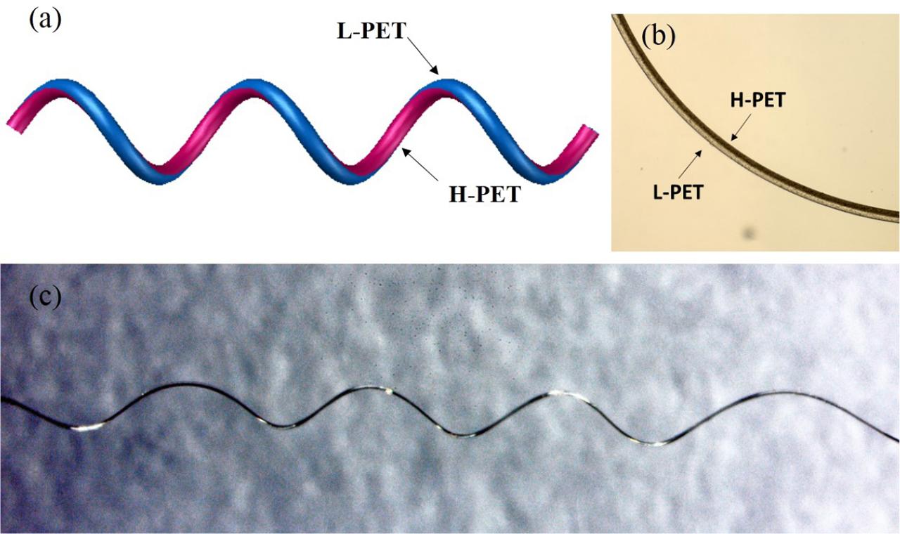 Morphology of crimps of H-PET/L-PET SBSBFs. (a) model image, (b) OM image (500×), (c) physical image (25×)