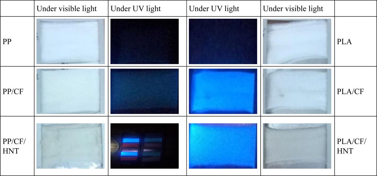 Samples under visible (outdoor fields) and UV light (indoor fields)