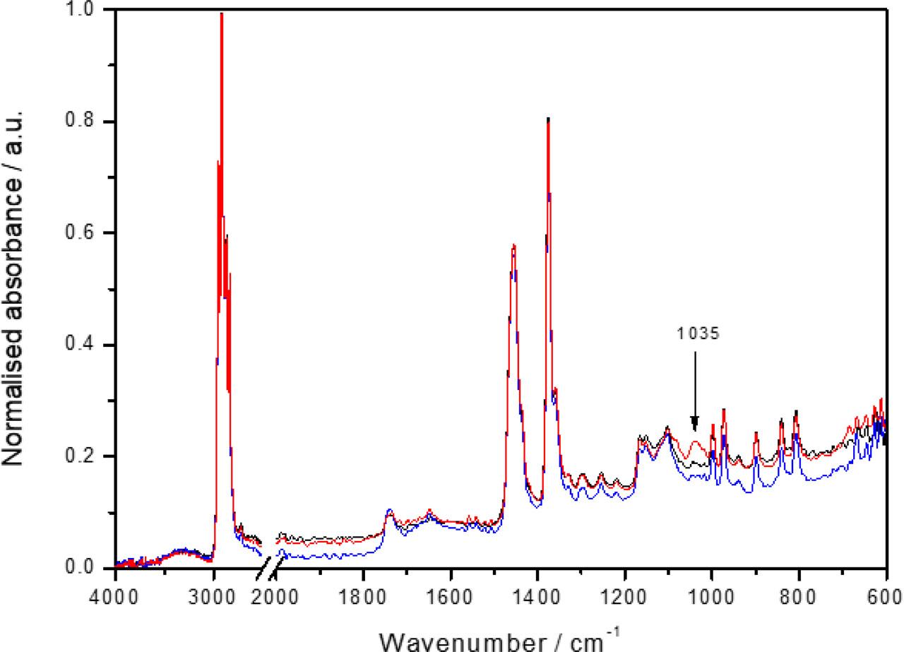Normalised FTIR spectra of PP (black line), PP modified by CF (blue line) and PP modified with HNTCF (red line)
