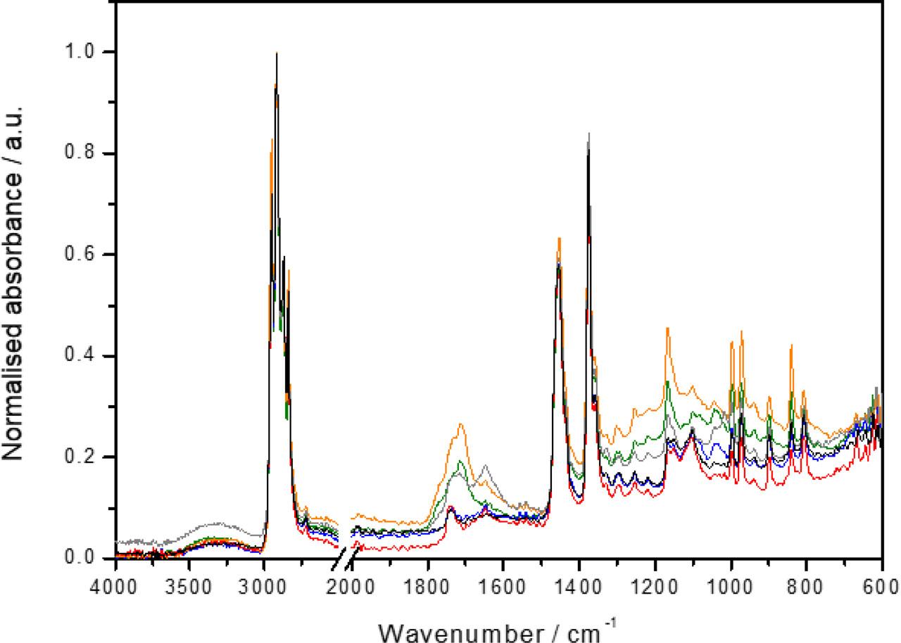 Normalised FTIR spectra of PP samples without dye (not aged – black line, aged 72 h in the Q-sun chamber – gray line), with CF (not aged – blue line, aged 72 h in the Q-sun chamber – green line) and with CF and HNT (not aged – red line, aged 72 h in the Q-sun chamber – orange line)