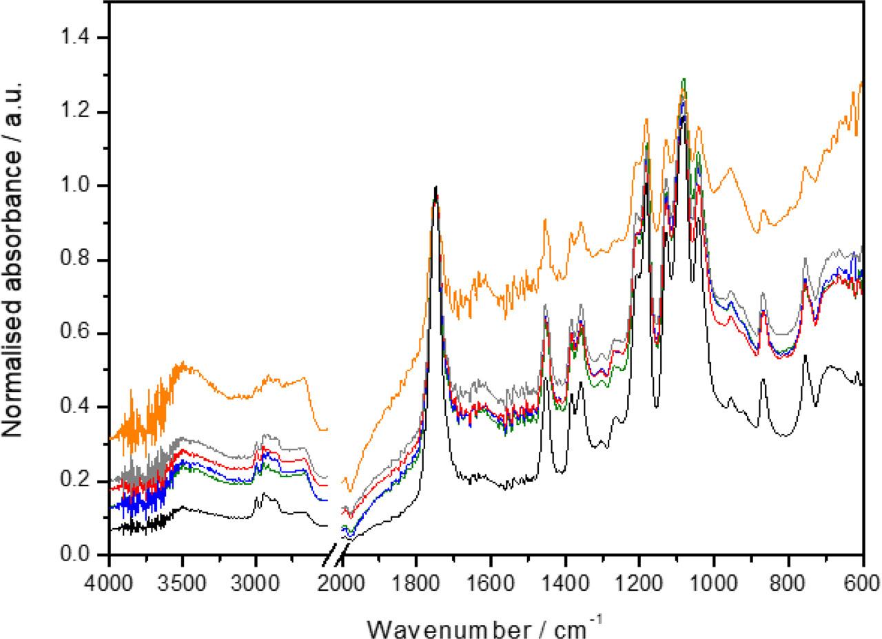 Normalised FTIR spectra of PLA samples without dye (not aged – black line, aged 72 h in the Q-sun chamber – gray line), with CF (not aged – blue line, aged 72 h in the Q-sun chamber – green line) and with CF and HNT (not aged – red line, aged 72 h in the Q-sun chamber – orange line)