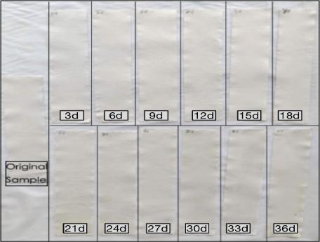 Natural-colored stock fabric samples after water immersion, showcasing the original sample and 12 subsequent samples at different time intervals