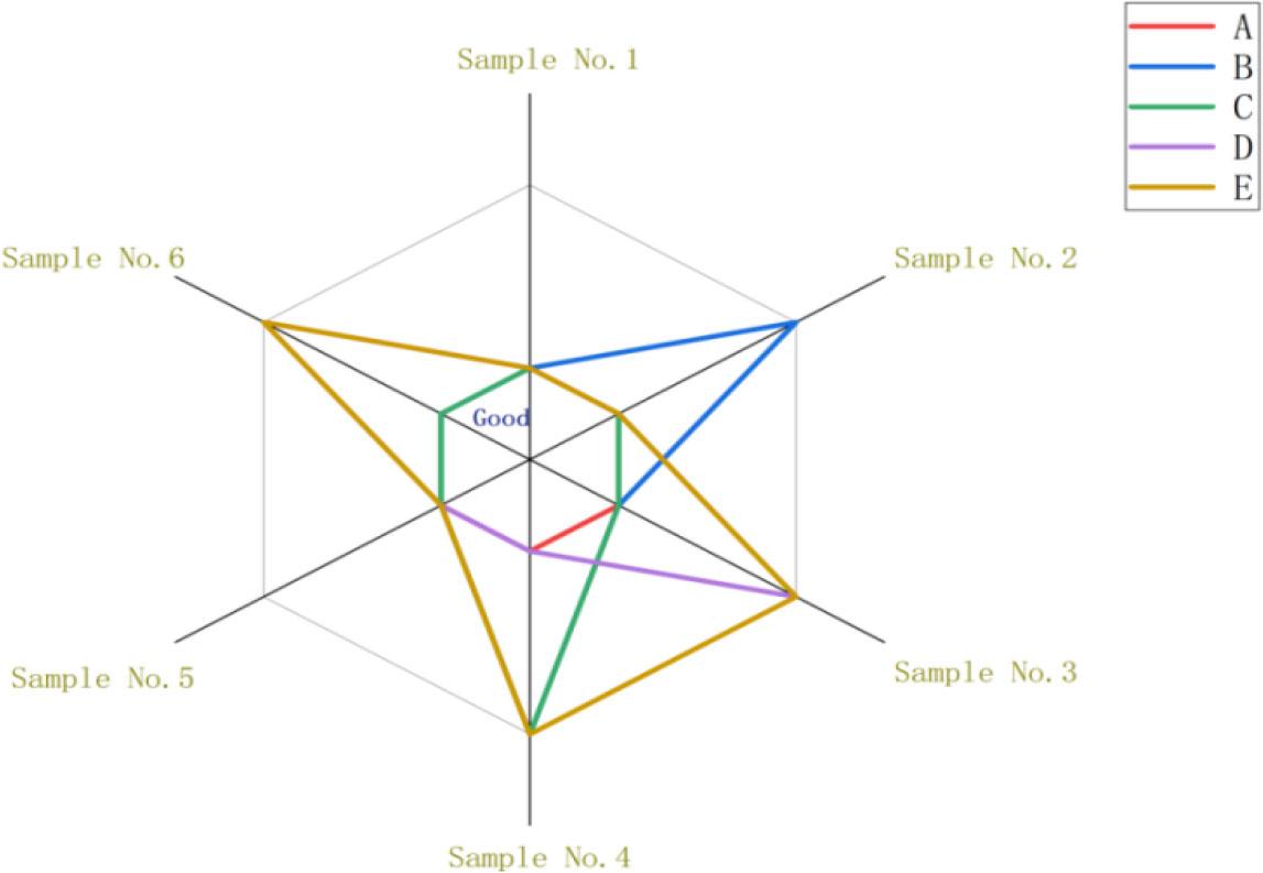 Final Multi-Assessor Aesthetic Evaluations