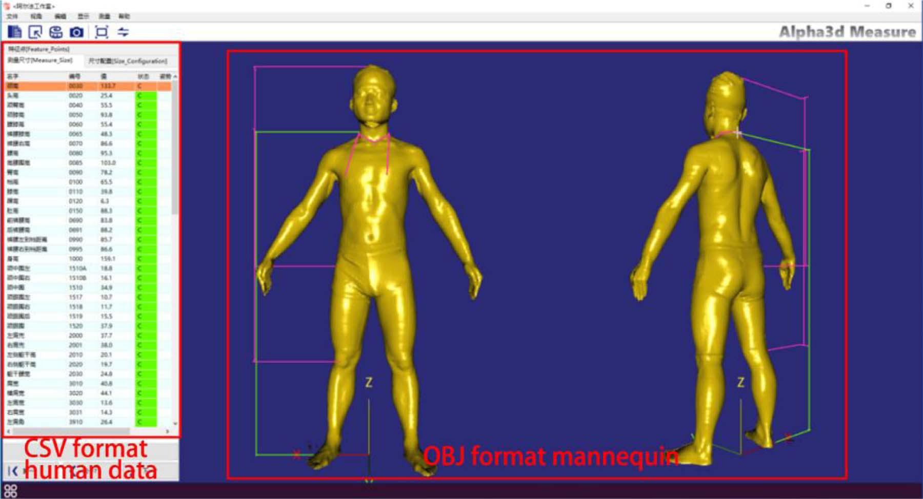 human body scan after the completion of the interface