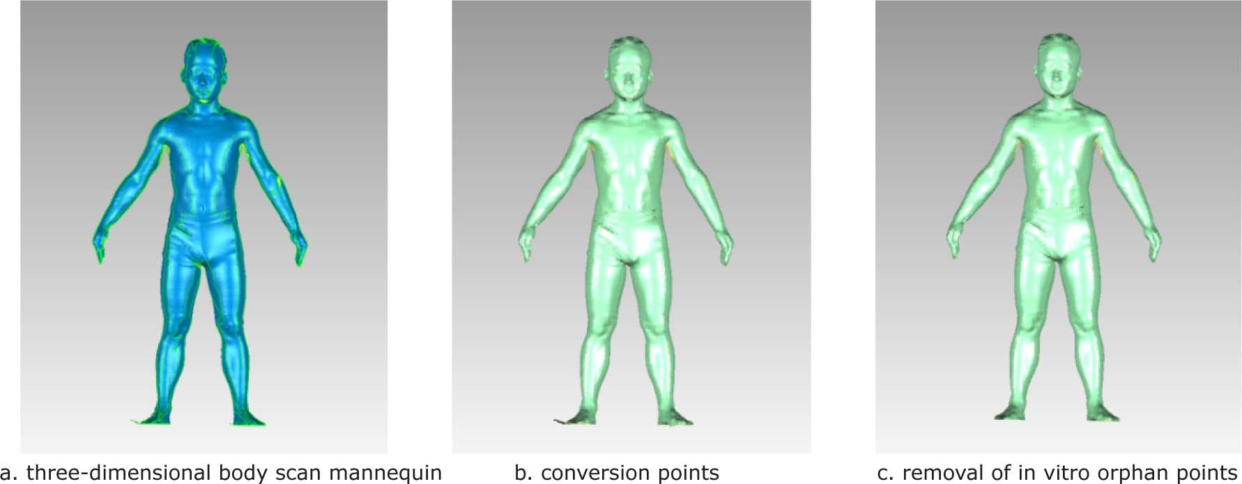 Point cloud data processing process