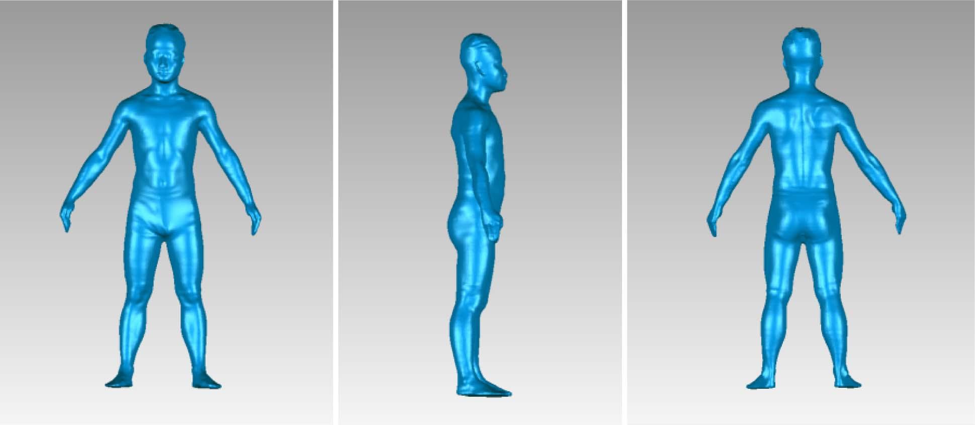 Processed human model