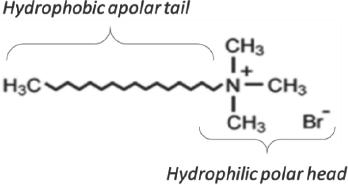 Chemical structure of CTAB