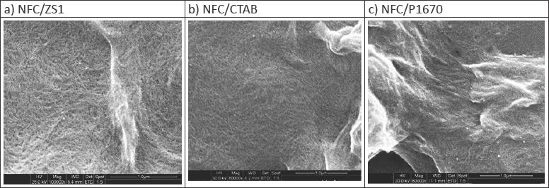 SEM images of particles of cellulose nanofibers modified with surfactants after re-dispersion in water: a) NFC/ZS1, b) NFC/CTAB, c) NFC/P1670