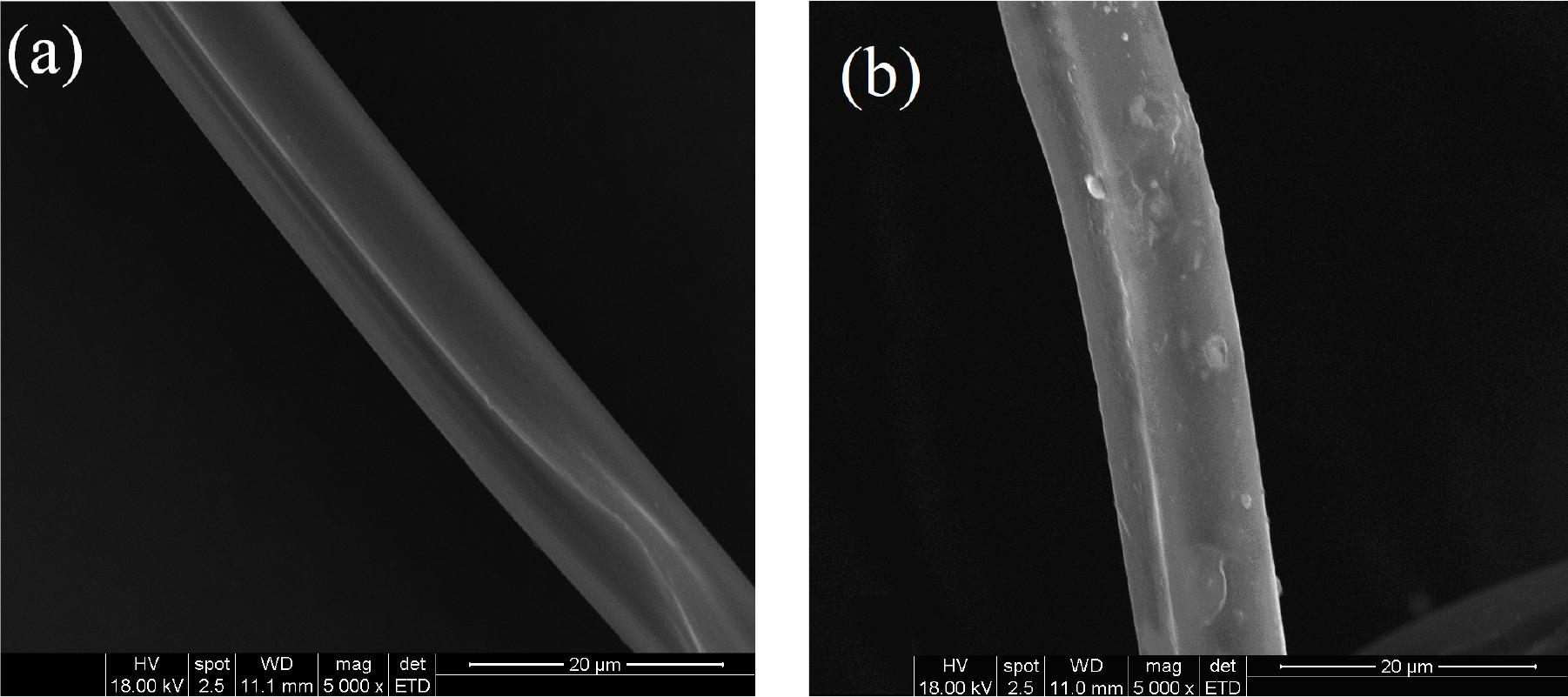 Longitudinal surface photomicrographs of (a) untreated silk fiber and (b) modified silk fiber treated with NMA-HTCC (×5000)
