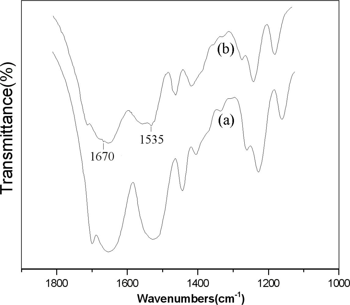FT-IR spectroscopy of (a) B. mori silk fiber and (b) modified silk fiber treated with NMA-HTCC