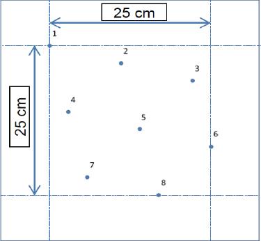 Fixed sequence of shots for systems tested