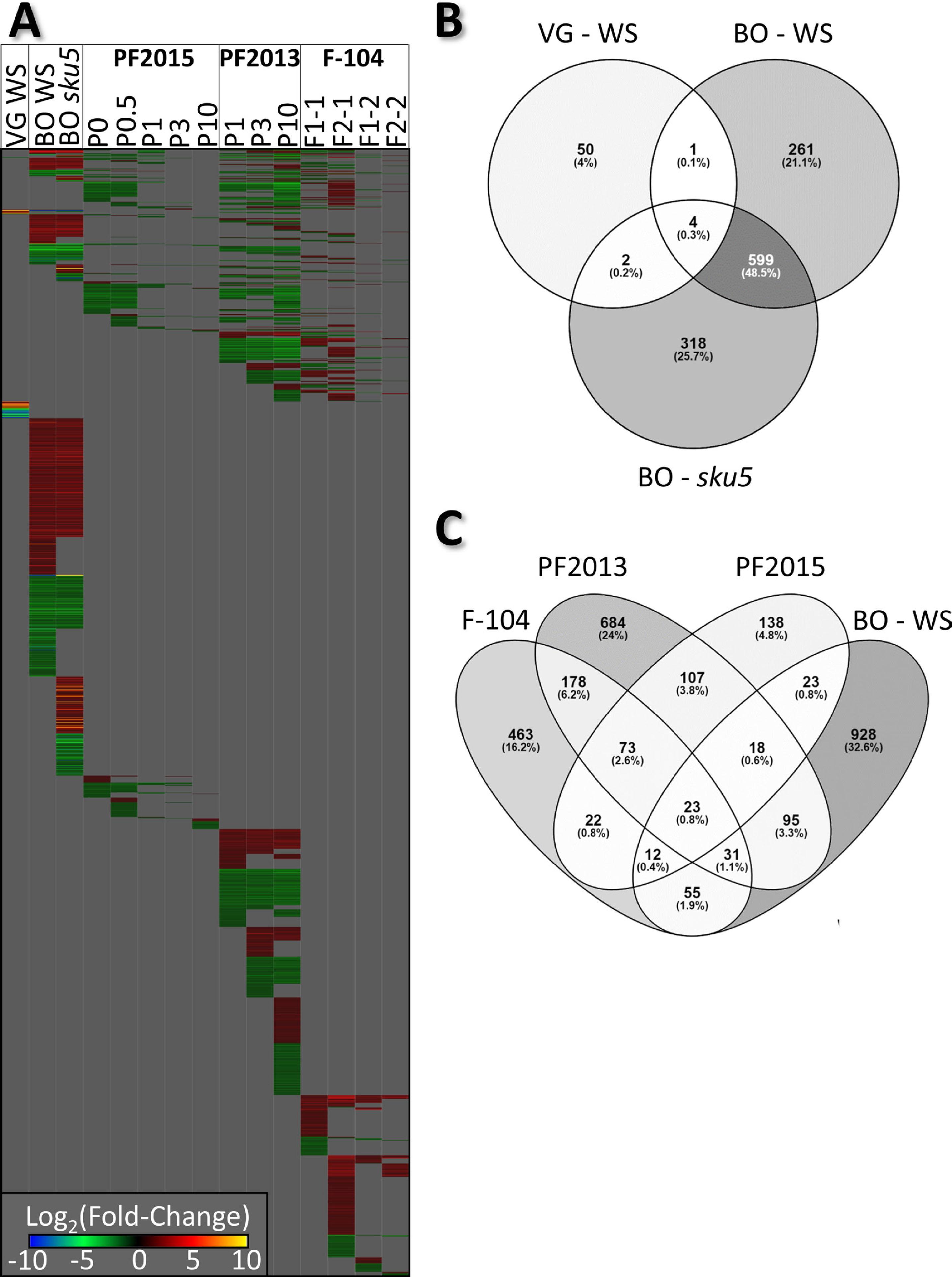 Transcriptomic comparisons. (A) Heatmap comparing DEGs from each experiment, arranged such that DEGs overlapping between the most experiments are located at the top. (B) Venn diagram, showing the DEG overlaps between the three suborbital transcriptomic datasets. (C) Venn diagram, showing the DEG overlaps between the BO WS data, parabolic flight data, and F-104 data. For both (B) and (C), the proportion of the total represented by each section of the diagram is represented as a percentage and by its coloration. Abbreviation: BO, Blue Origin; DEGs, differentially expressed genes.