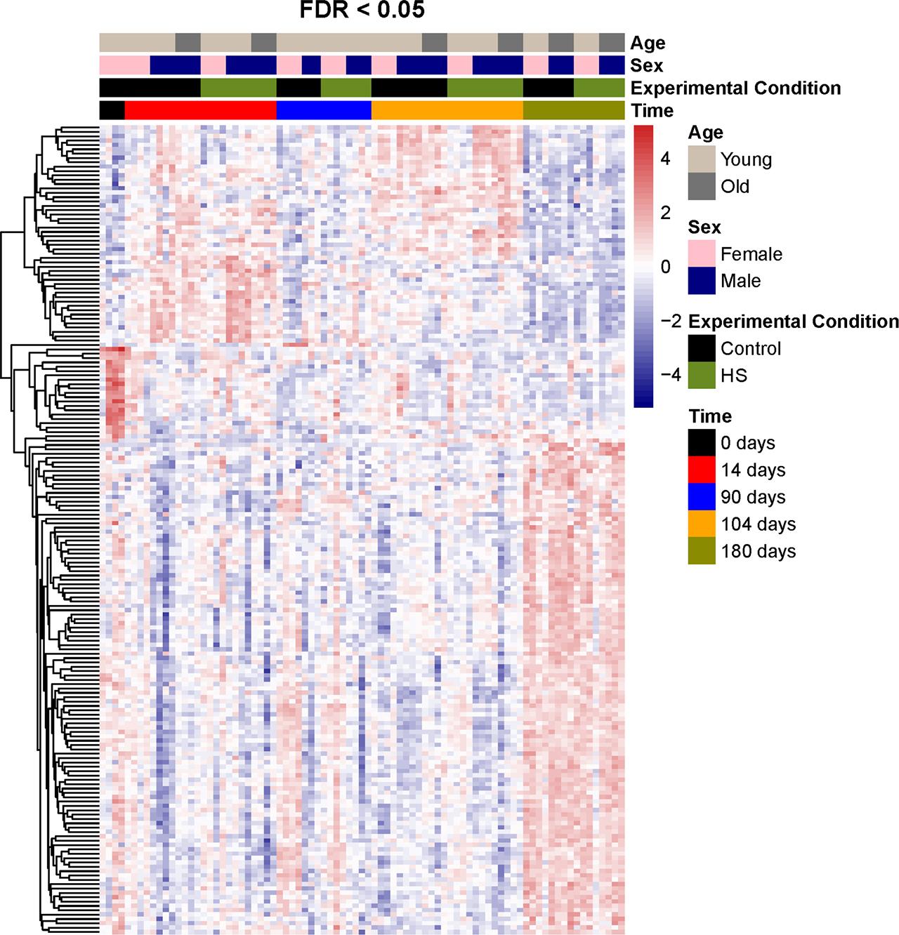 Heatmap of the significantly regulated genes (FDR < 0.05). Euclidean clustering was used for clustering the genes.