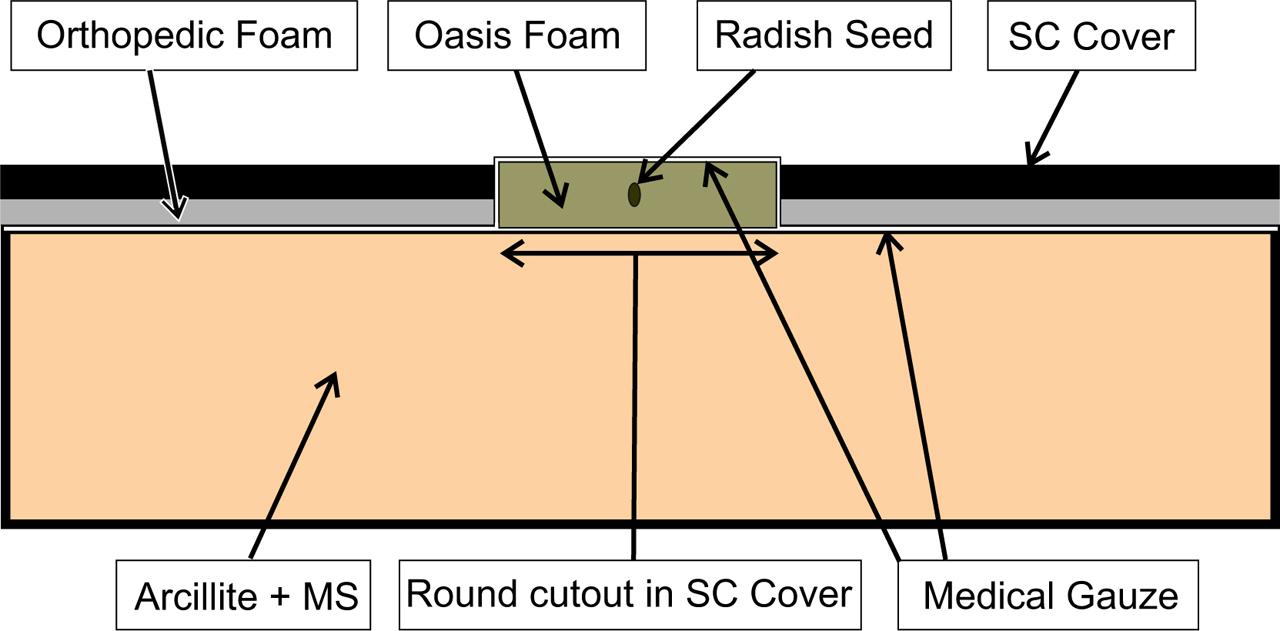 Cross sectional view of a packed SC. Not shown are porous tubes and moisture sensors embedded in the arcillite. The orthopedic foam was used to secure (slightly compress) the arcillite to prevent shifting during manipulations and eventual launch vibrations. SC, science carrier.