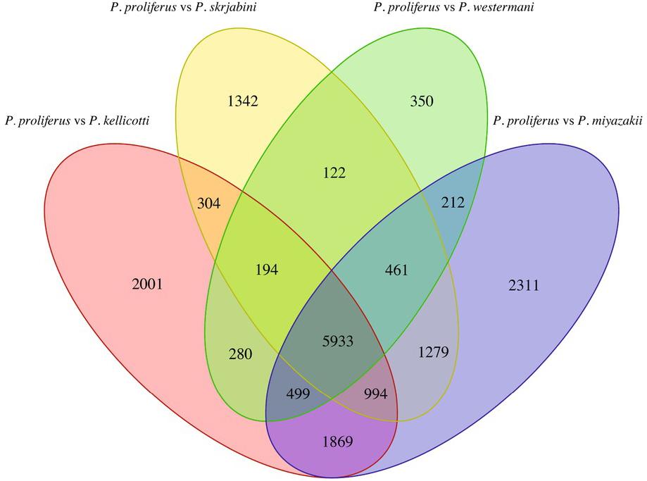 Venn diagram showing homologous genes among comparisons of Paragonimus proliferus vs. Paragonimus skrjabini, Paragonimus kellicotti,Paragonimus miyazakii, or Paragonimus westermani.