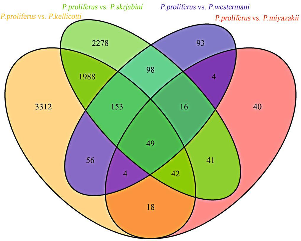 Venn diagram showing 49 core genes identified from the 8192 differentially expressed homologous genes.