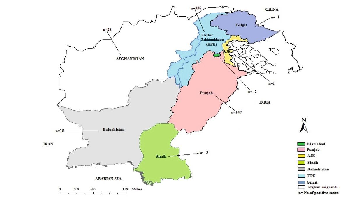 Province level distribution of 536 CE cases treated surgically at Shoukat Khanum Memorial Cancer Hospital and Research Centre in Lahore, Pakistan from 2007 – 2018.