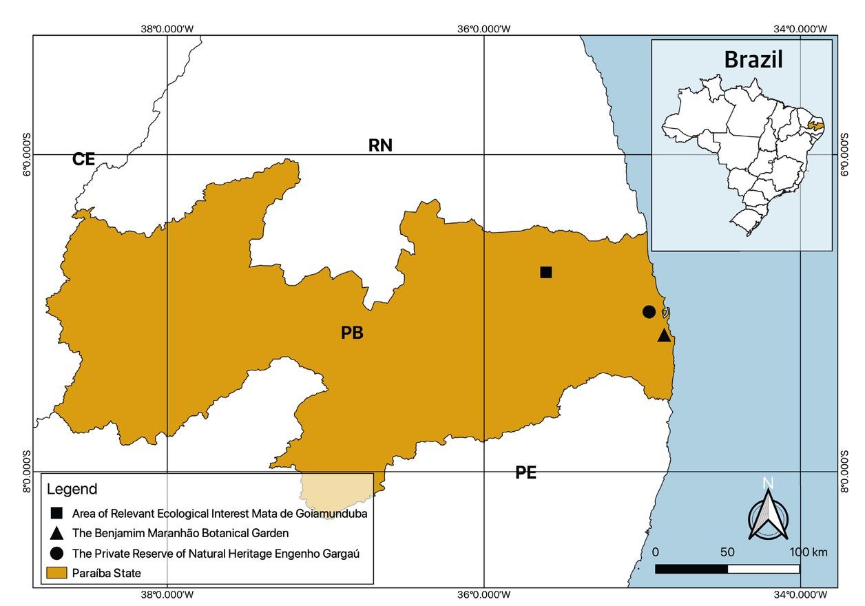 Atlantic Forest fragments sampled in this study, located in the Paraíba state, Brazil.