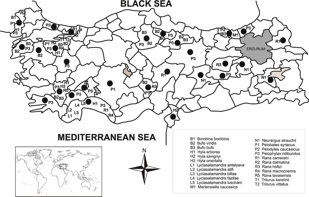 Provinces of Turkey where studies on frog parasites have been made.