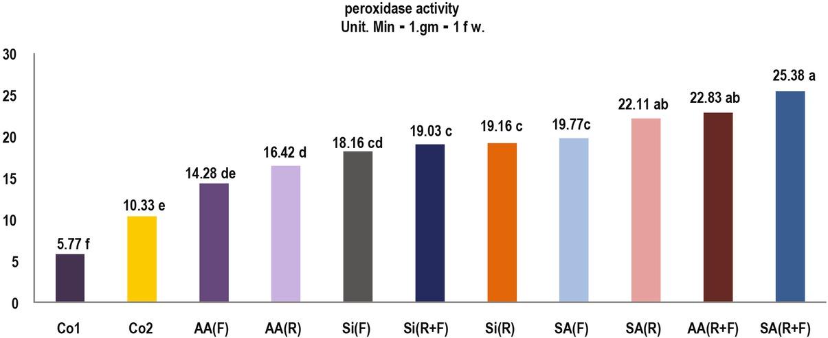 Effect of salicylic acid, ascorbic acid, and Silicon application on peroxidase activity (Unit. Min-1.gm-1 f w.) in Cucumber root infected by Meloidogyne javanica.
* Co1 = healthy plant, Co2 = control, (R) = root application, (R+F) = root and foliar application, AA = ascorbic acid. Si = silicon and SA = salicylic acid.
*Each number is means of three replications.
* Means followed by different letter(s) differ significantly according Duncan’s multiple range test, P ≤ 0.05