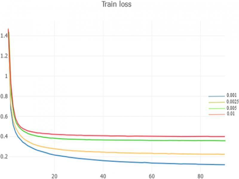 Training Loss of different regularization