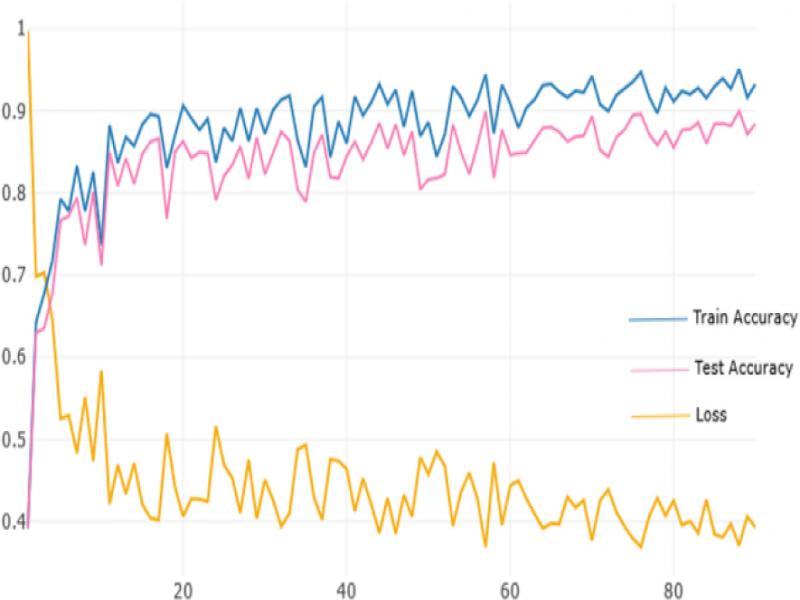 Training of the model after adding data augmentation