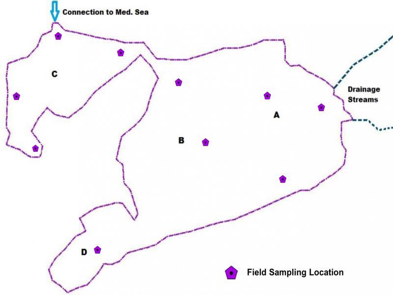 Field measurement locations in Lake Edku zones A, B, C, and D