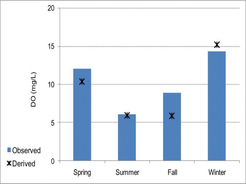 Observed versus derived DO concentrations during four seasons in Lake Edku