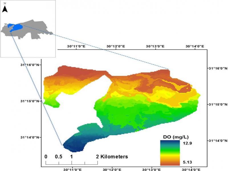 Retrieved DO concentrations in Lake Edku during winter season