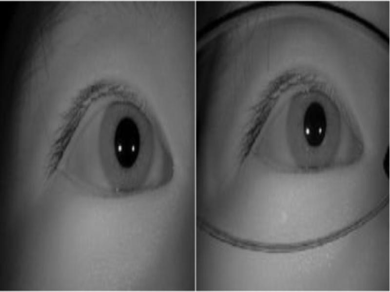 302R test sample diagram