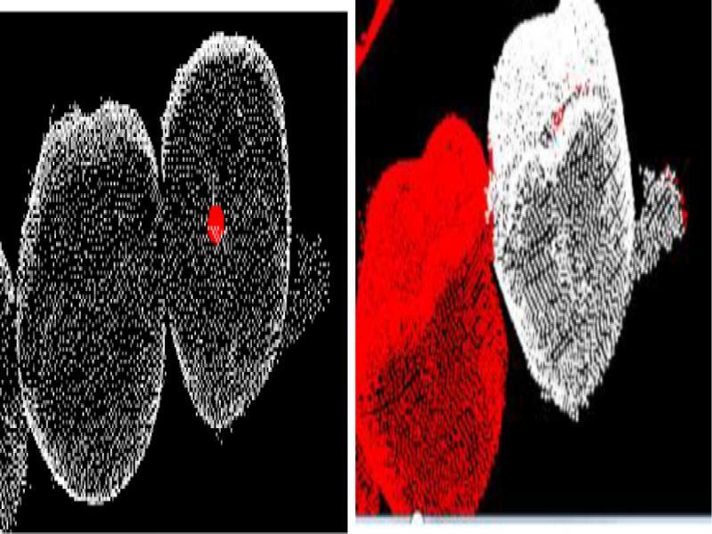 Diagram of point cloud segmentation.