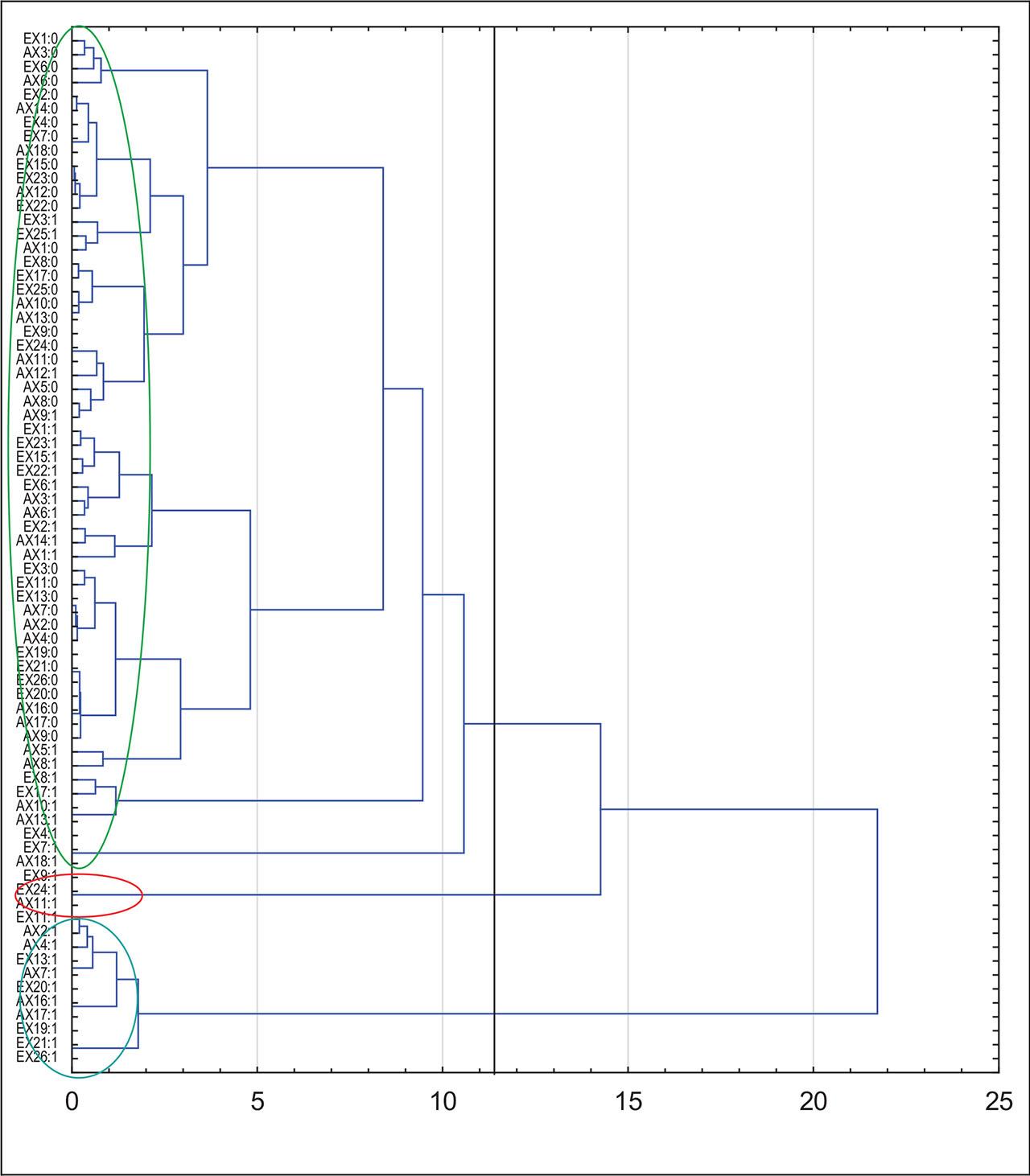 Hierarchical Classification Diagram of Variable Categories Using Ward’s Method
Source: own study.