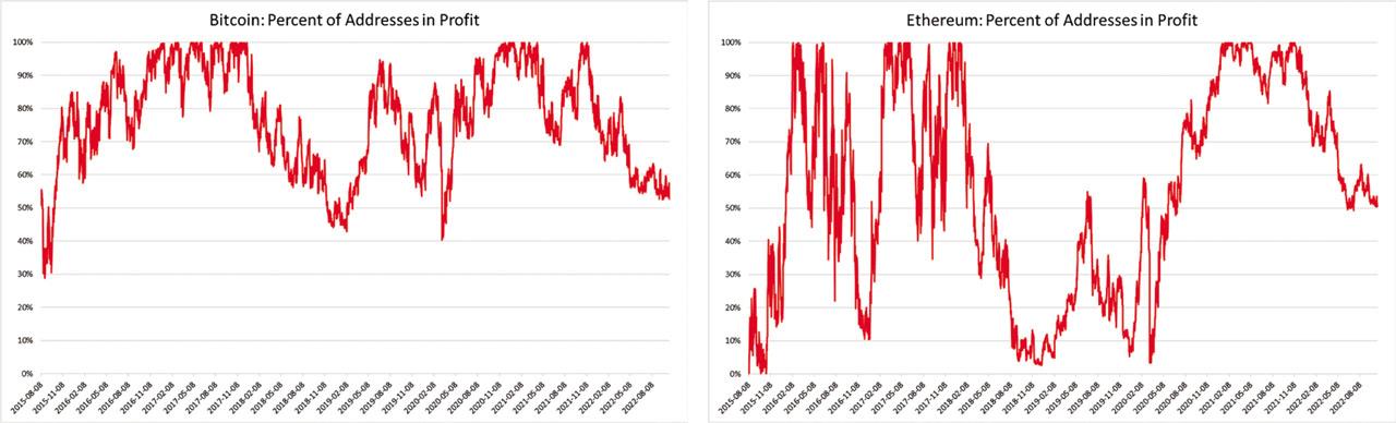 PAP in the period from August 8, 2015 to October 20, 2022.Source: own compilation based on the Glassnode data.Notes: The left panel depicts PAP for BTC. The right panel depicts PAP for ETH. BTC, Bitcoin; ETH, Ethereum; PAP, percent of addresses in profit.