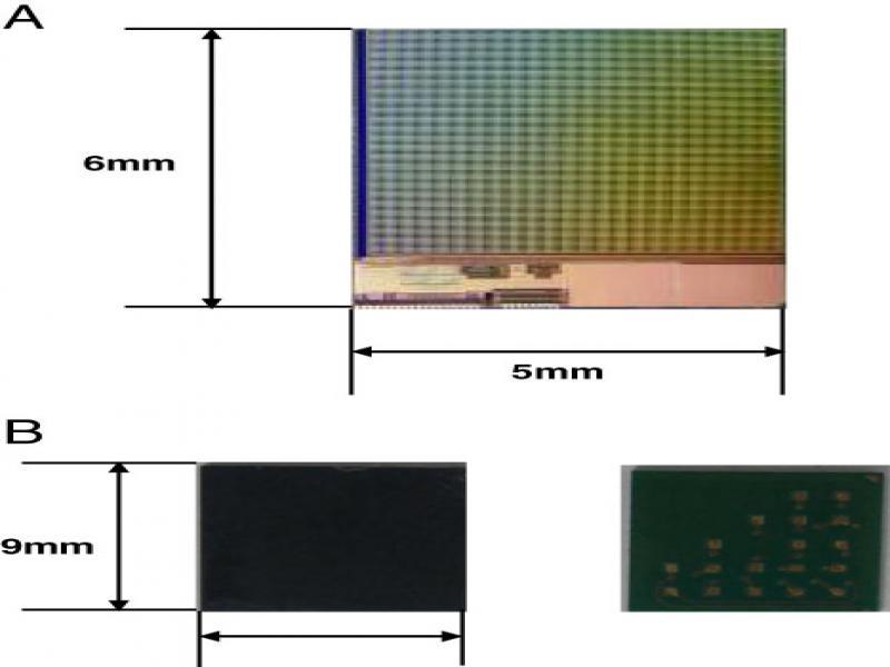 Fabricated fingerprint sensor (A) die photo, (B) LGA package front and back.