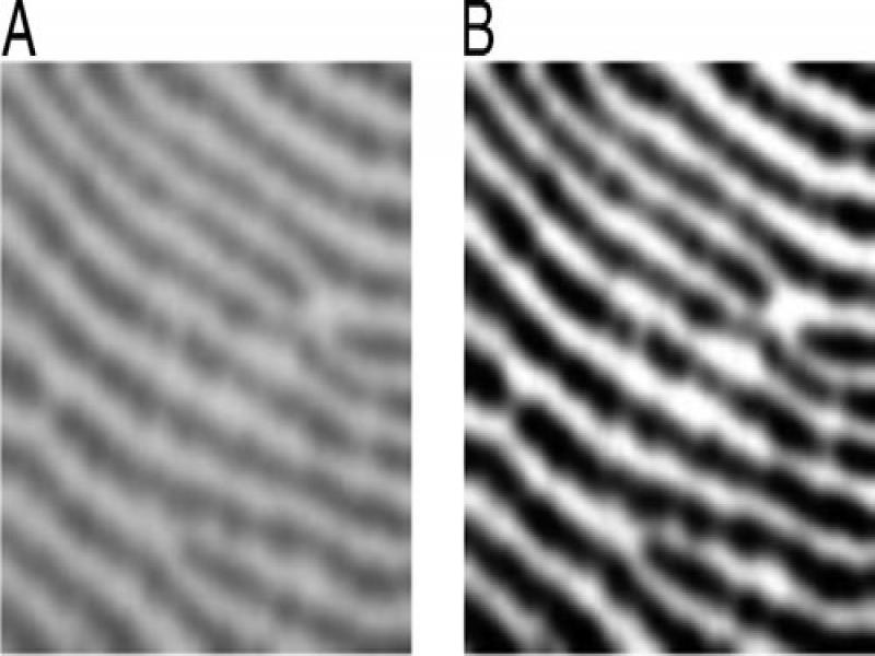 Captured fingerprint image (A) original (B) histogram equalization.