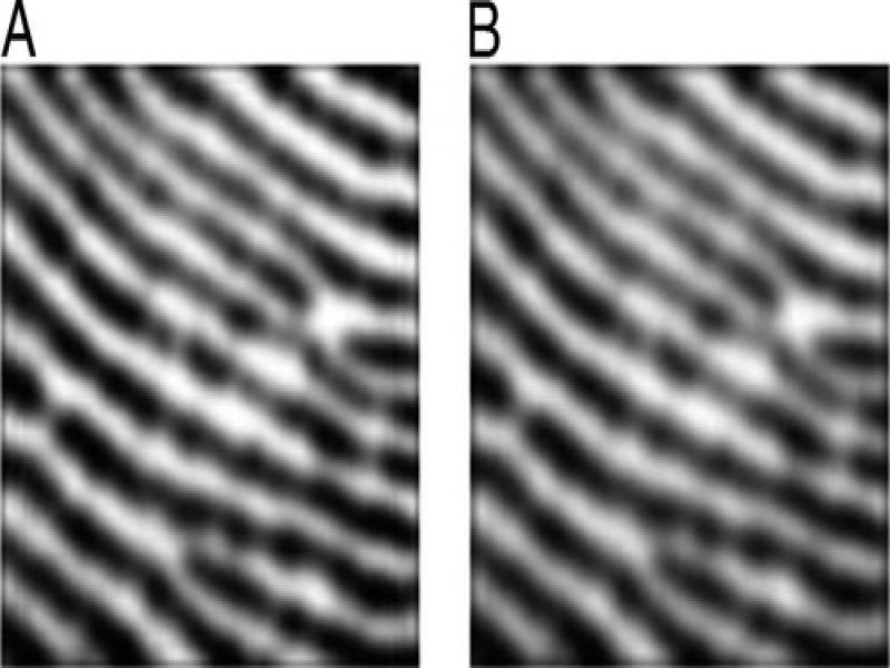 2D FIR filtered fingerprint images (A) 3 × 3, (B) 5 × 5.