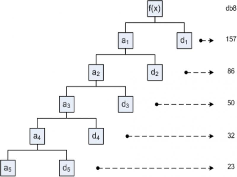 Daubechies 8 5-level decomposition (Setiawan et al., 2011).