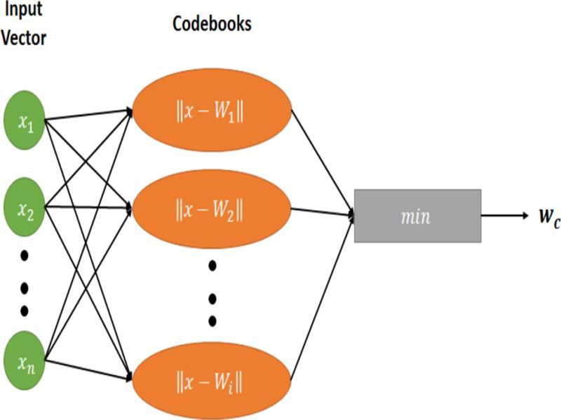 The architecture of the LVQ algorithm.