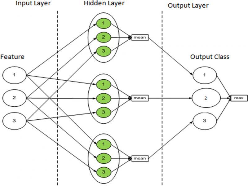 FNLVQ architecture (Kusumoputro et al., 2002).