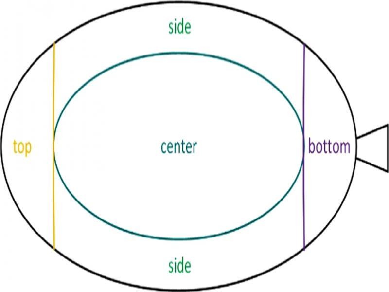 Area of leaf defects category.