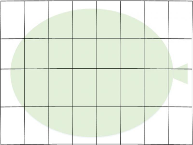 Small patches applied on the leaf area.