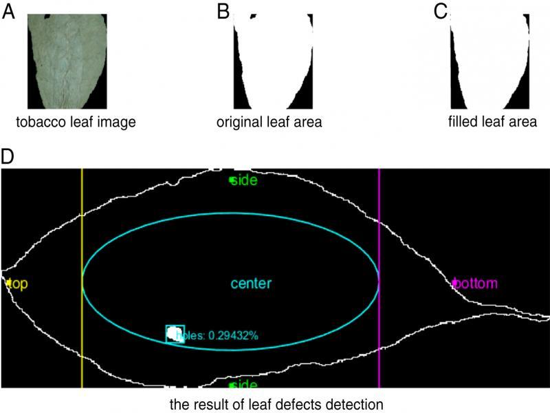 The result of leaf defects detection.