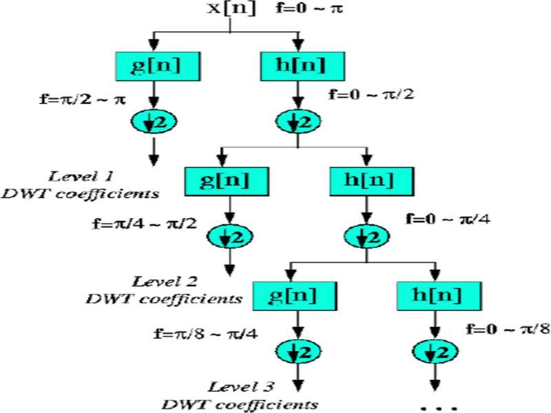 Illustration of DWT calculation method.