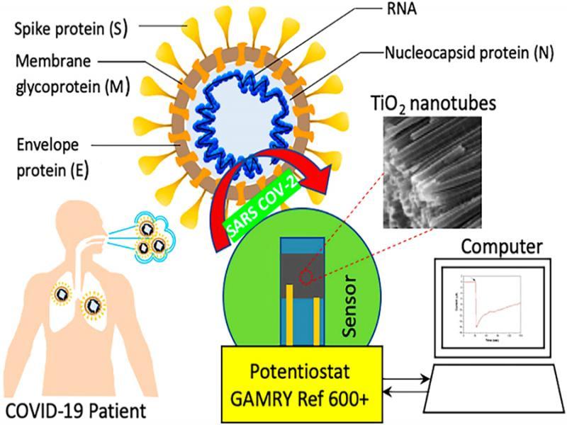 Schematic of Co-functionalized TiO2 nanotube (Co-TNT)-based sensing platform for detecting SARS-CoV-2 (Vadlamani et al., 2020).